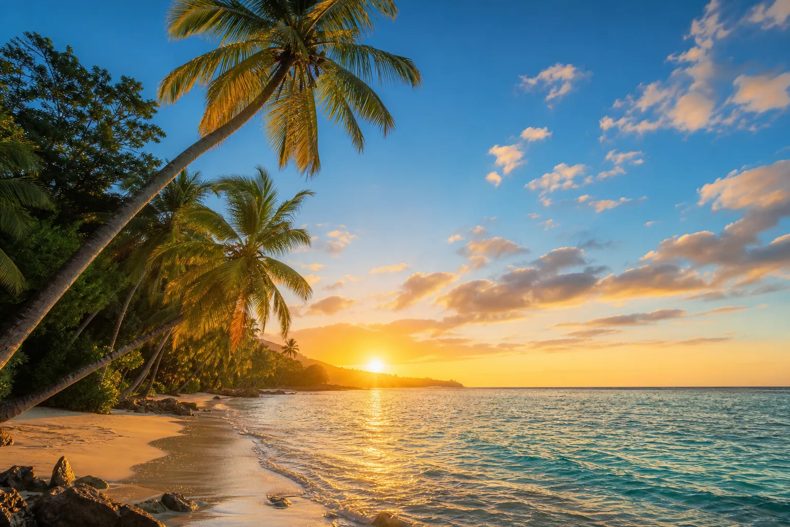 Cabarete beach at golden hour with palm trees